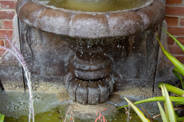 Set 1: Moving Water S1/250