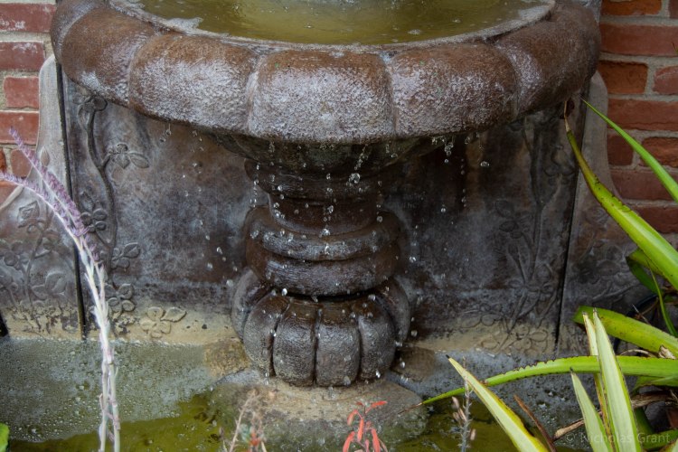 Moving Water ss 1/500