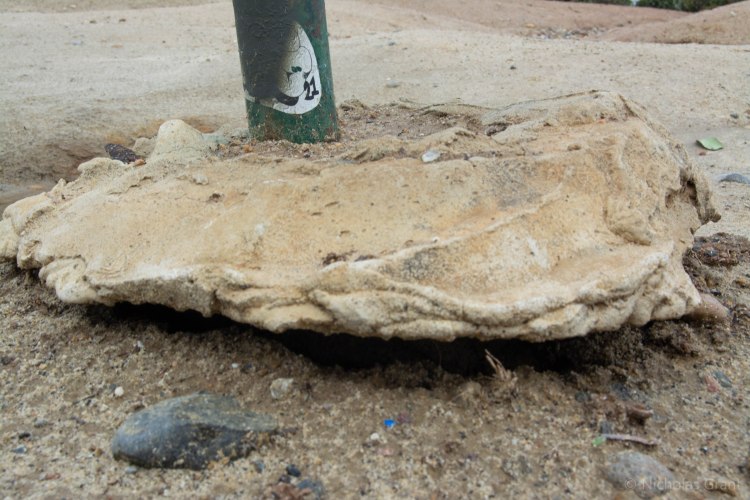 Weathering to the Bench's Structure.