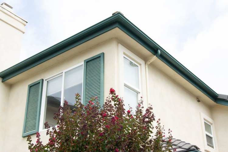 Home and Flowers (left)