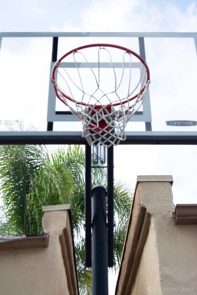Vertical Hoops (right)