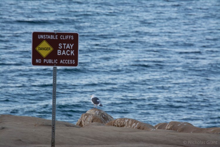 Foreground & Background