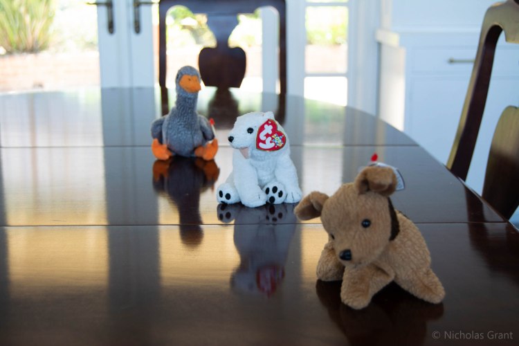 F4.5 focused on the nearest object.