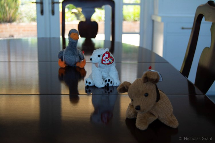 F4.5 focused on the middle object. 