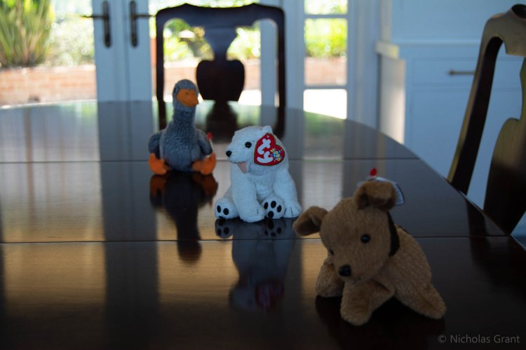 F4.5 focused on the back object. 