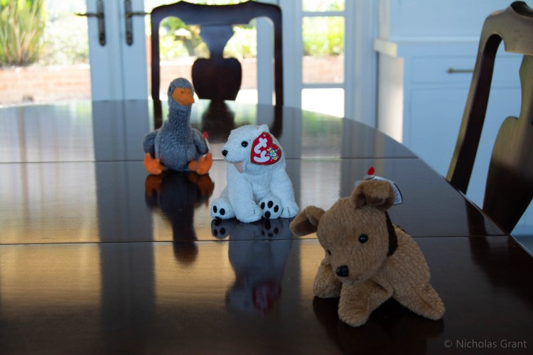 F8 focused on the back object. 