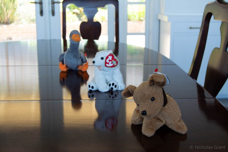 F8 focused on the nearest object. 