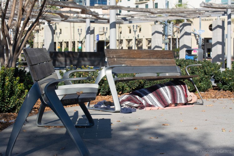 Finding shade on a hot day