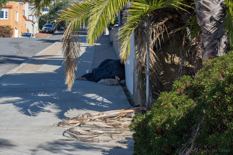 Normal for an Old Town neighborhood